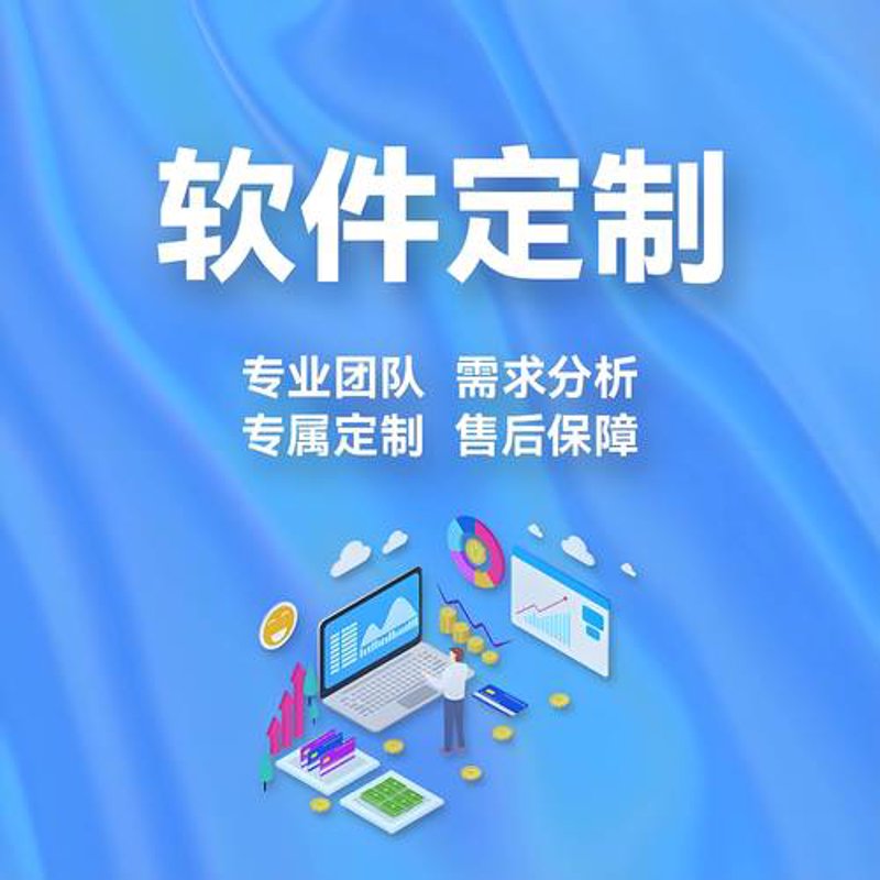 软件定制开发:企业数字化转型的加速器
