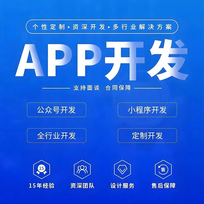 北京IT软件外包